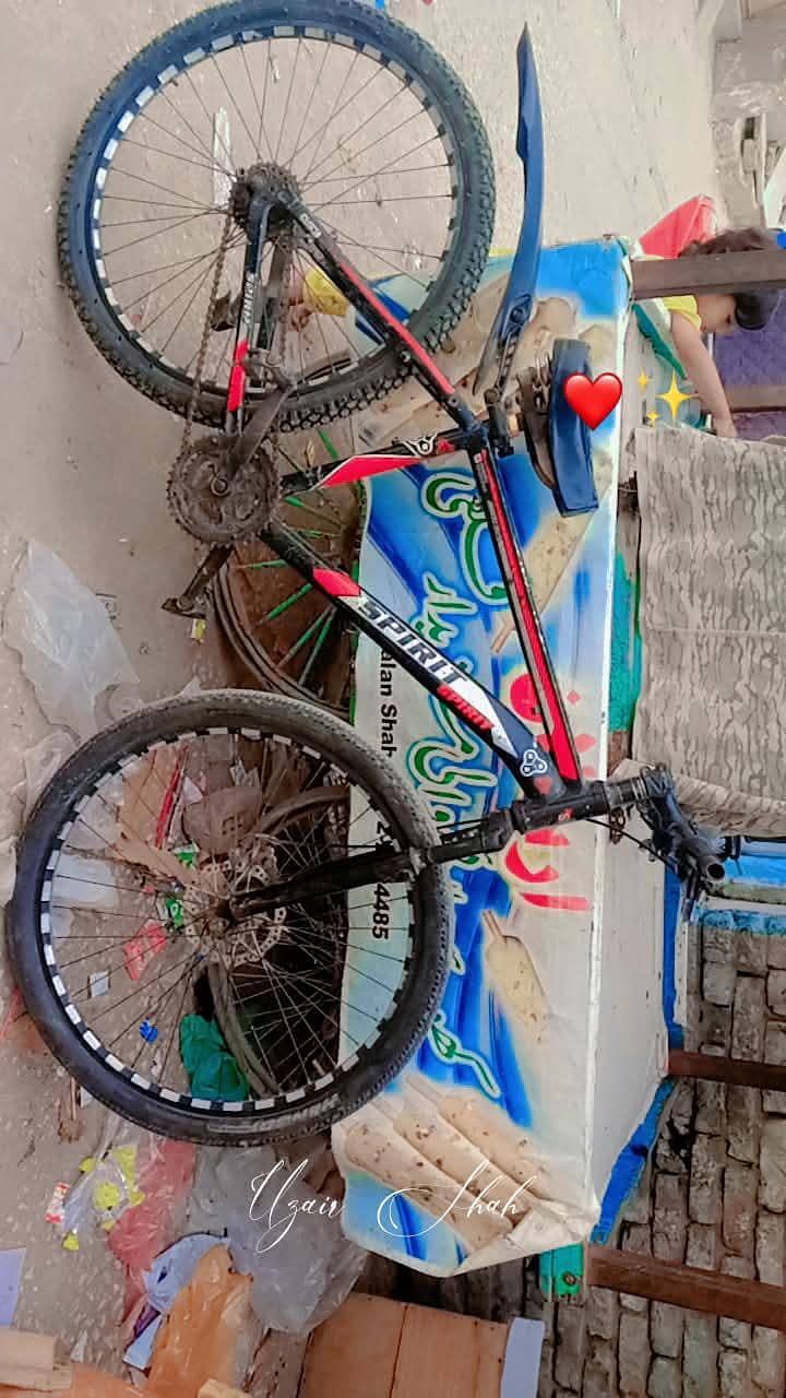 bicycle 2