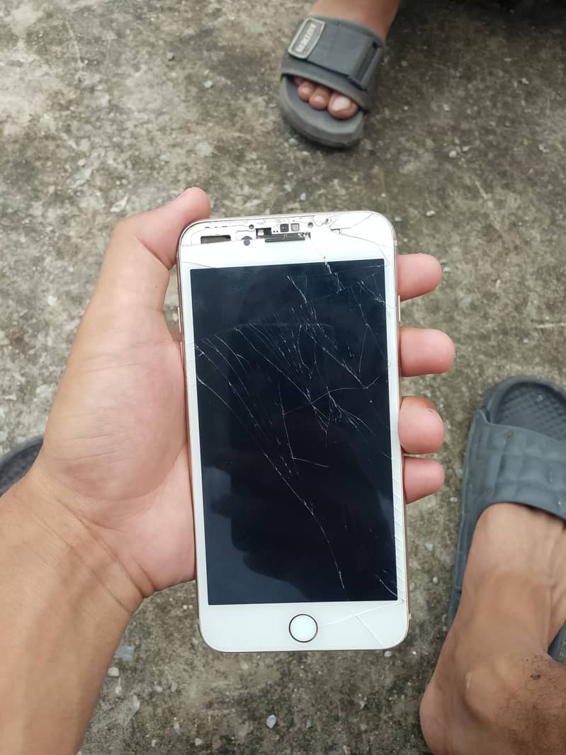 Apple iPhone 8 Plus 0