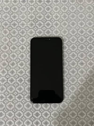I phone 11 display panel