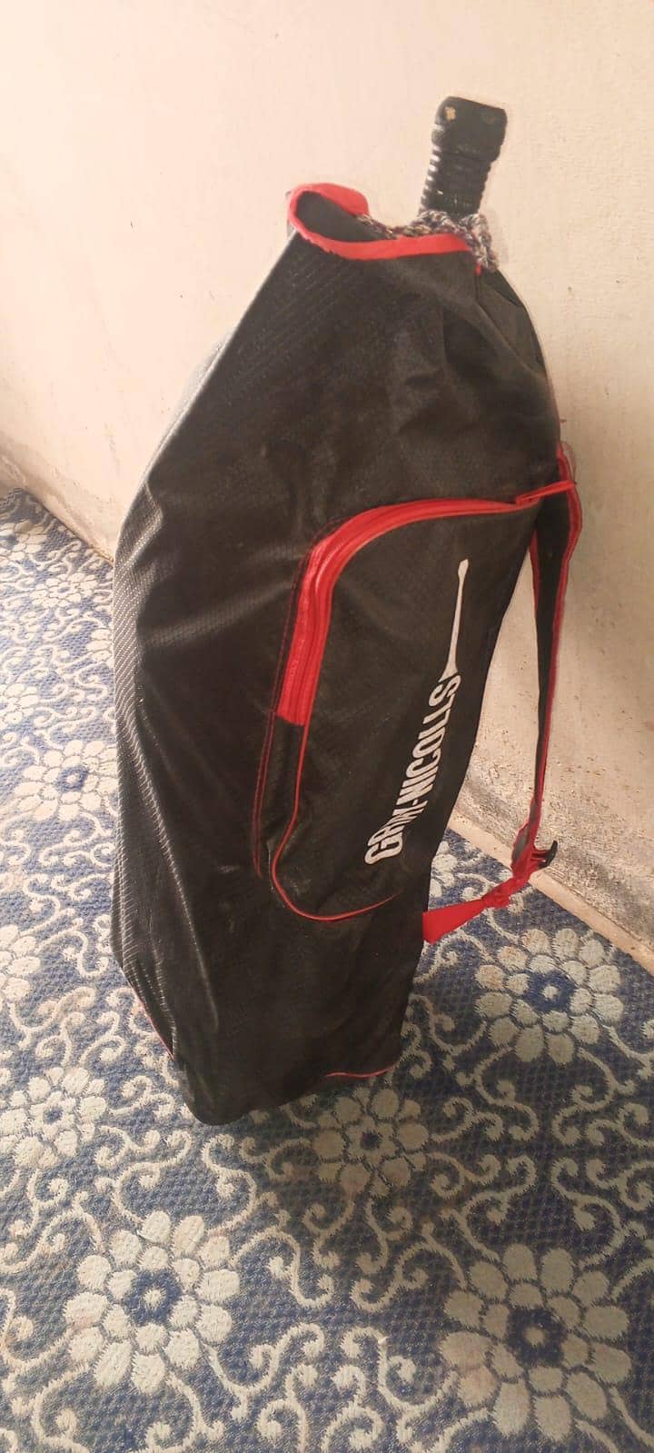 cricket kit 1