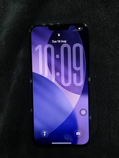 Apple iPhone 13 Pro Max