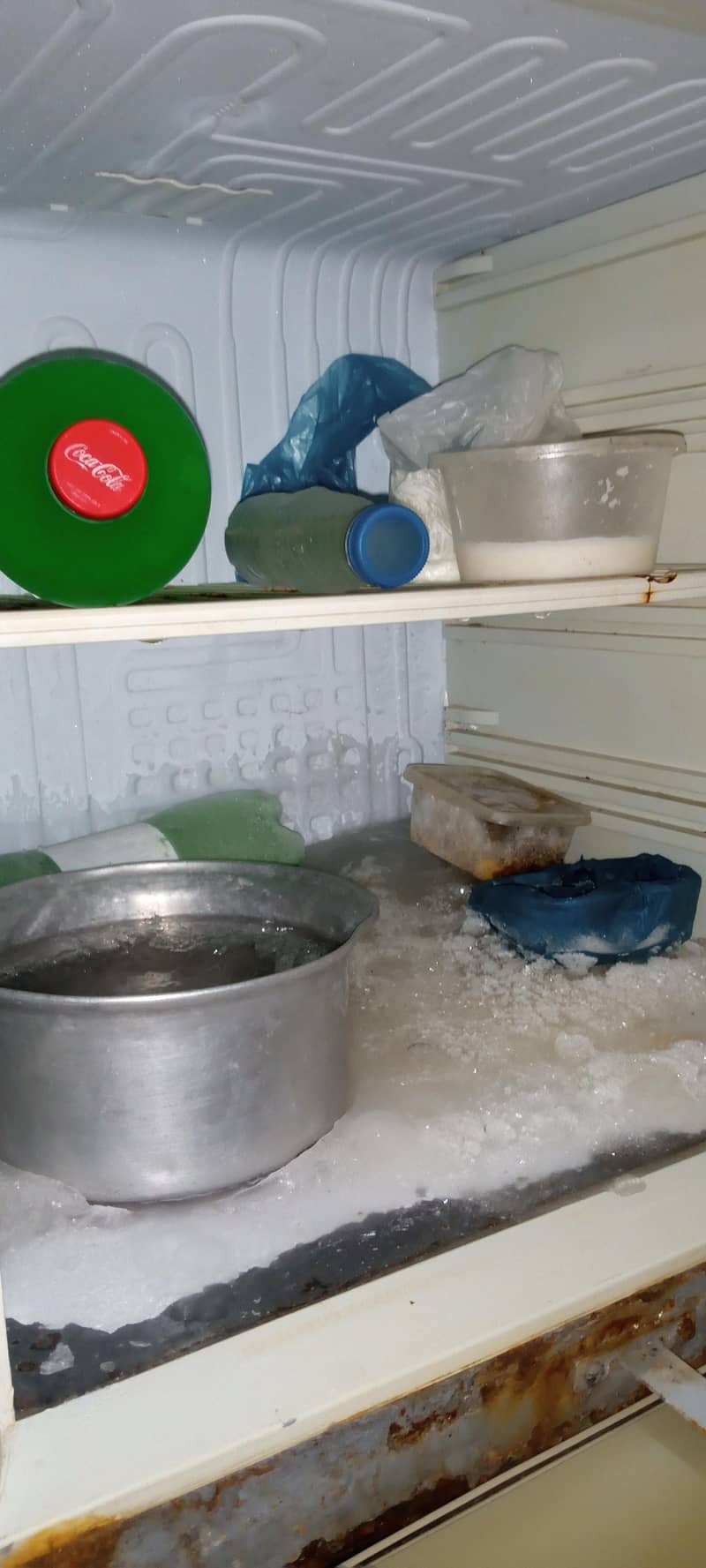 Medium refrigerator 3