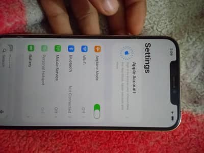 Apple iPhone 12 Pro Max