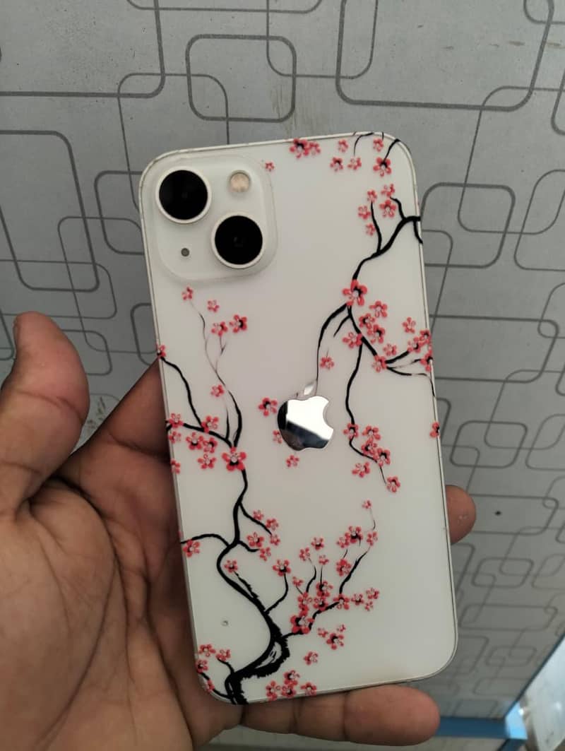 Apple iPhone 13 0