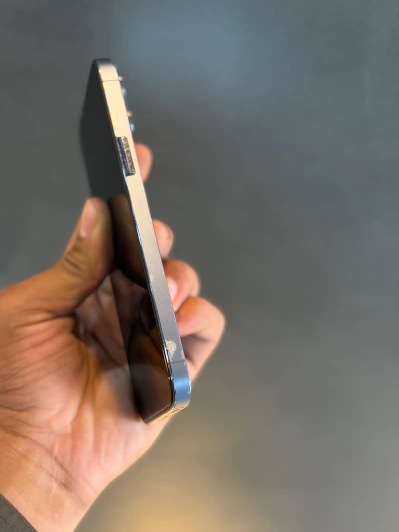 Apple iPhone 13 Pro Max 3