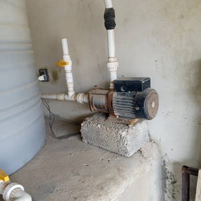 fiter plant for sell