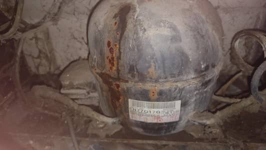 pel frieg for sale