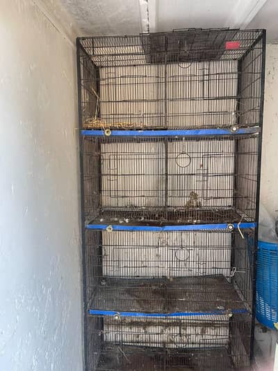 Bird,s Cage