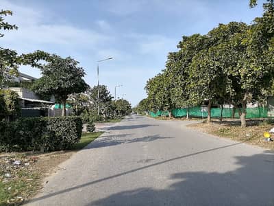 Looking For A Residential Plot In Lahore