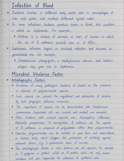 Content Writer | Assignment & Article Writing