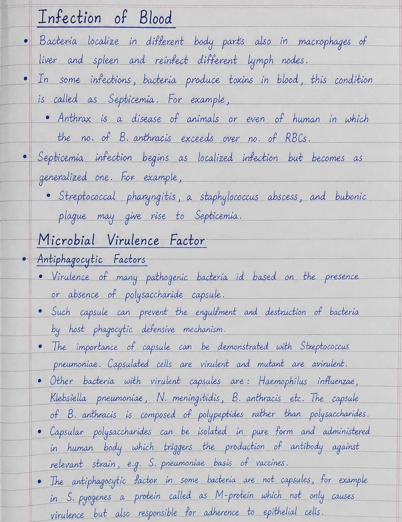 Content Writer | Assignment & Article Writing 0