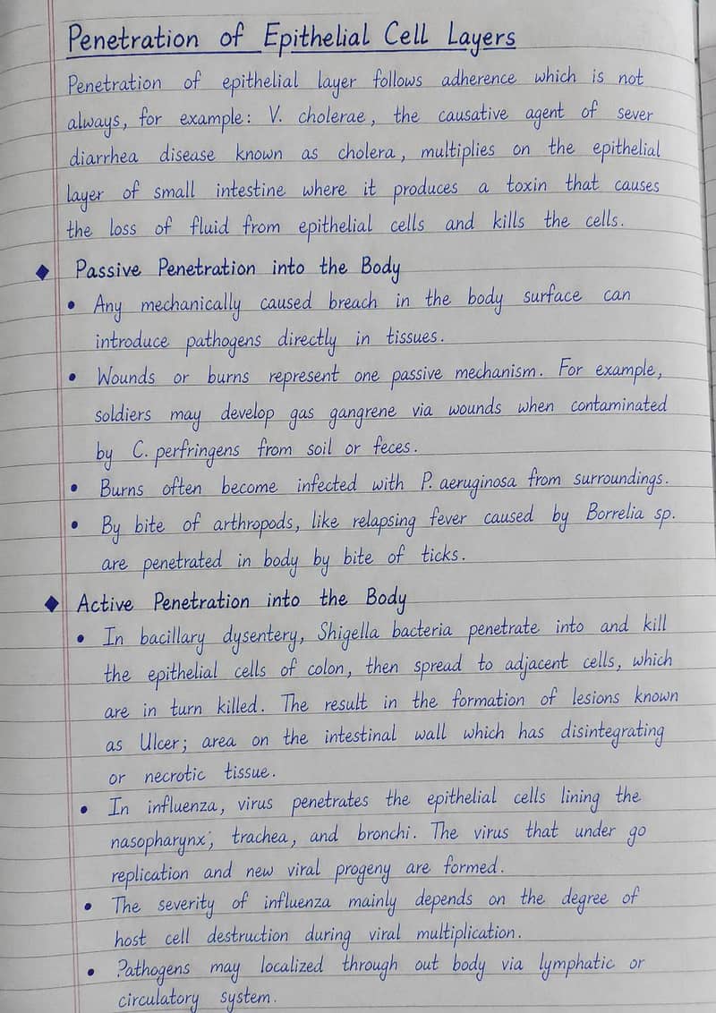 Content Writer | Assignment & Article Writing 1