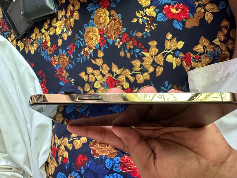 Apple iPhone 12 Pro Max 1