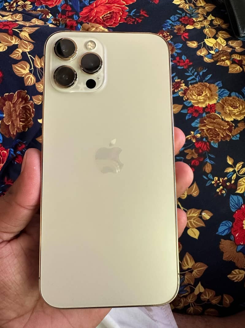 Apple iPhone 12 Pro Max 2