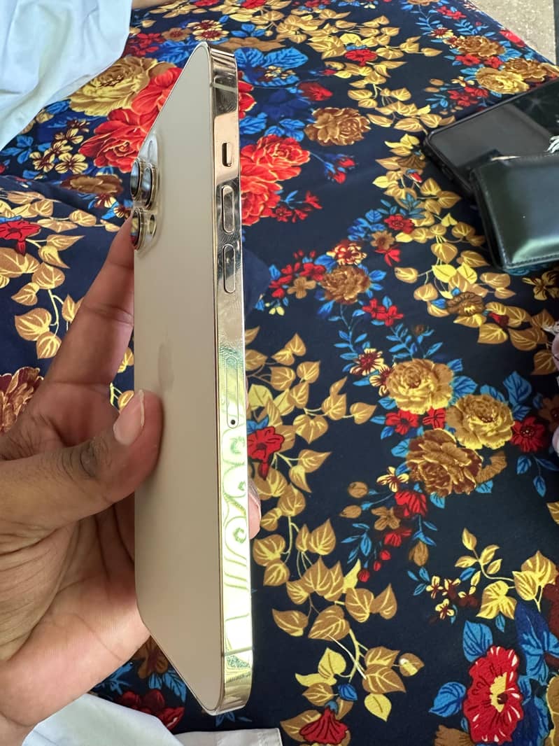 Apple iPhone 12 Pro Max 3