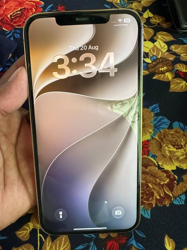 Apple iPhone 12 Pro Max 6