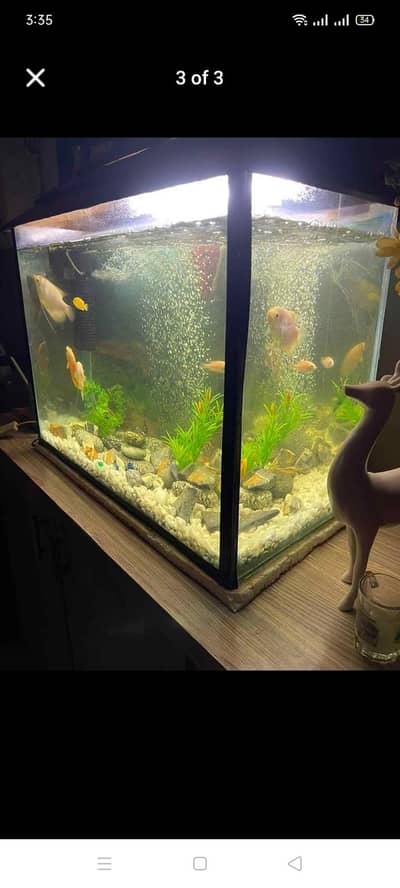 Aquarium fish tank for sale only