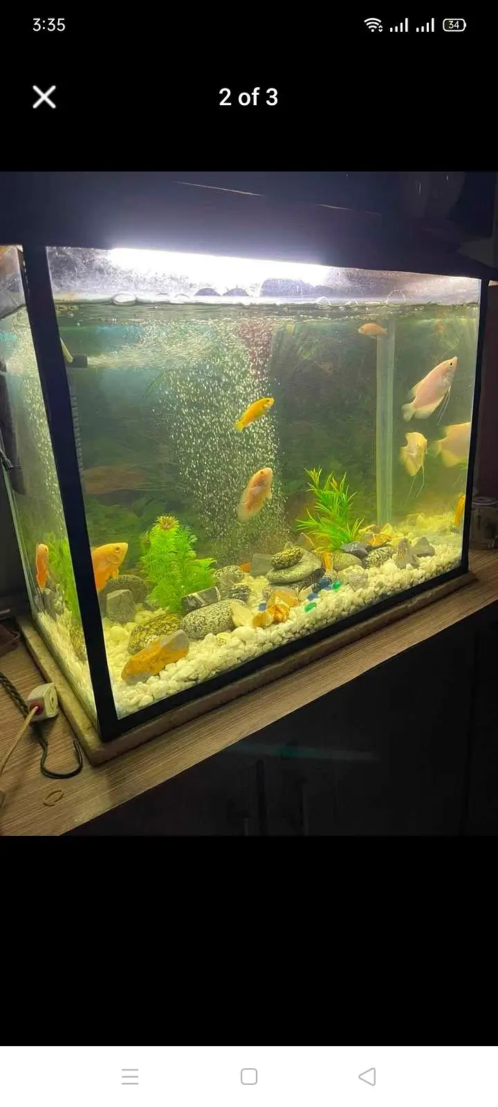 Aquarium fish tank for sale only — photo 2