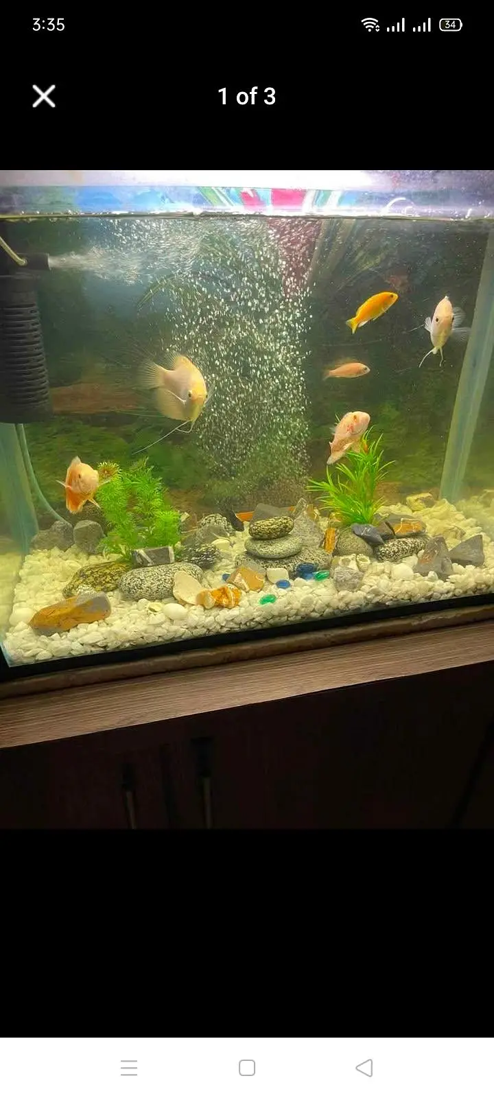 Aquarium fish tank for sale only — photo 3