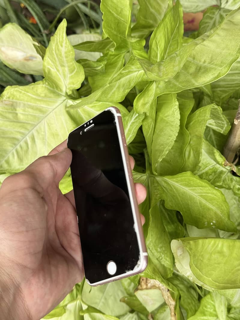 iPhone 6s 1