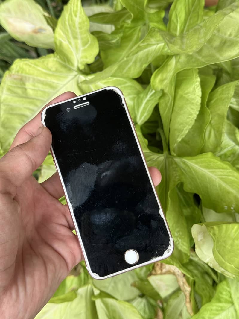 iPhone 6s 2