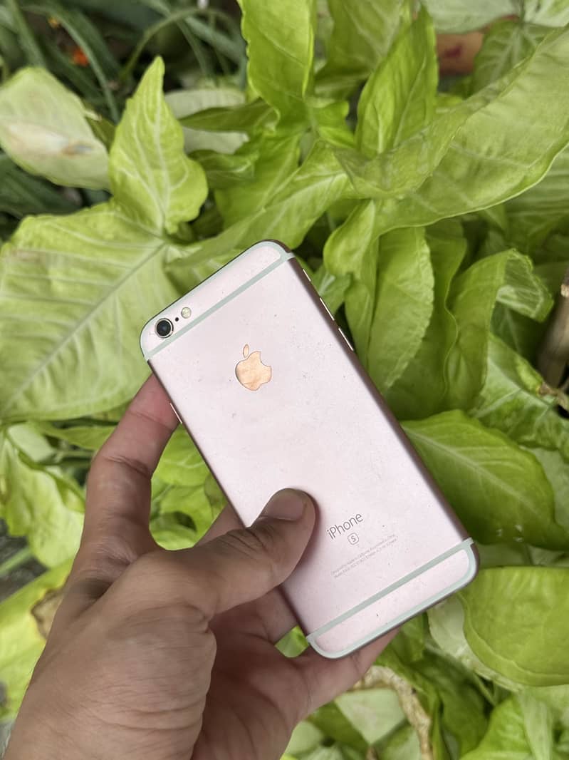 iPhone 6s 3