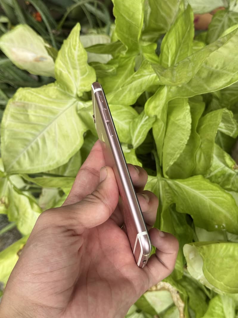 iPhone 6s 5
