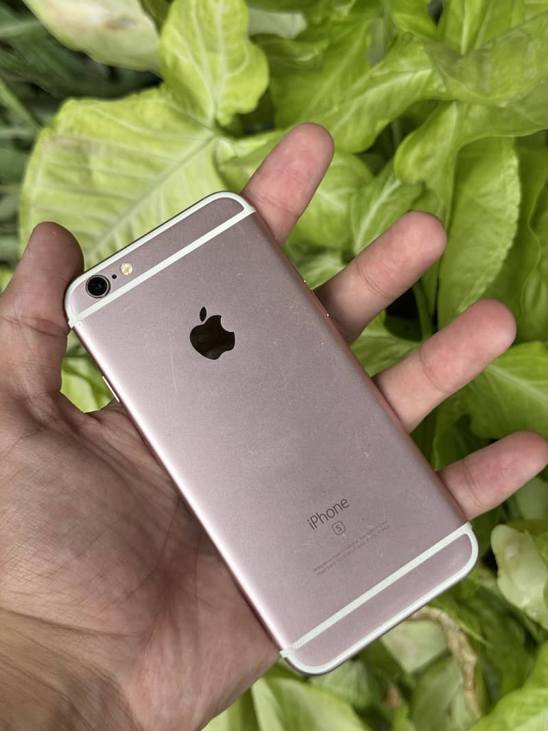 iPhone 6s 6