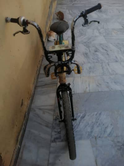 silver mdeld cycle