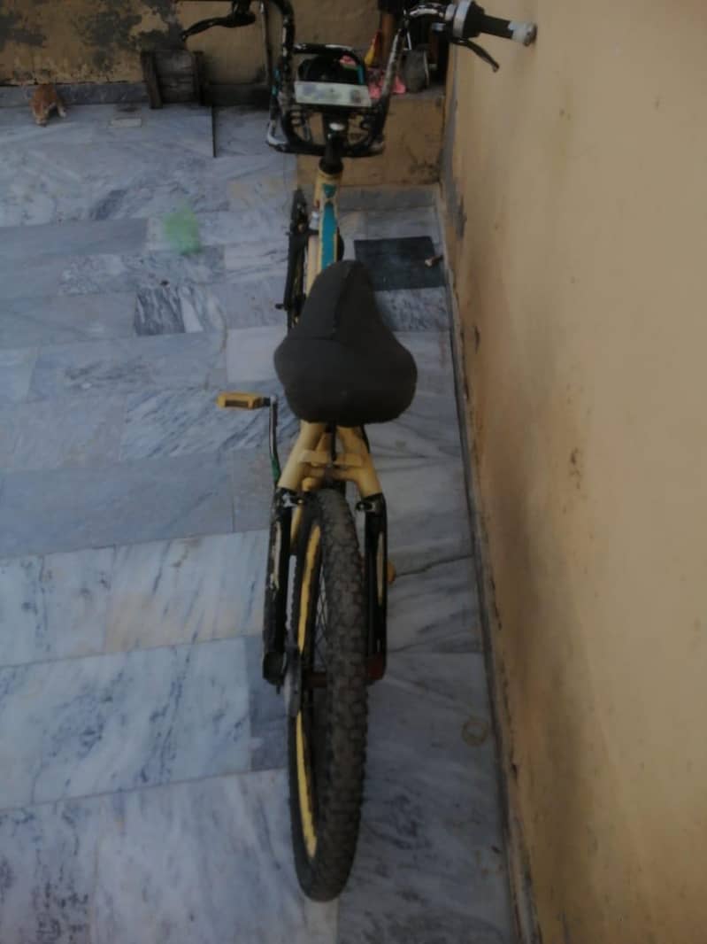 silver mdeld cycle 2
