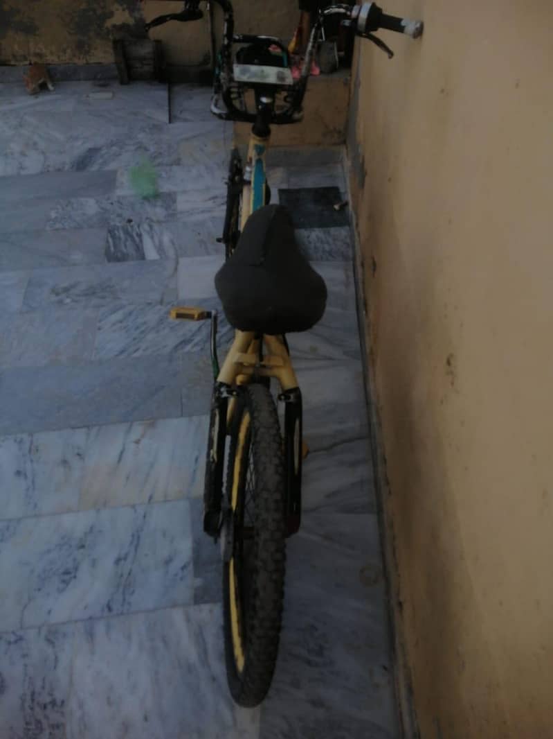 silver mdeld cycle 3