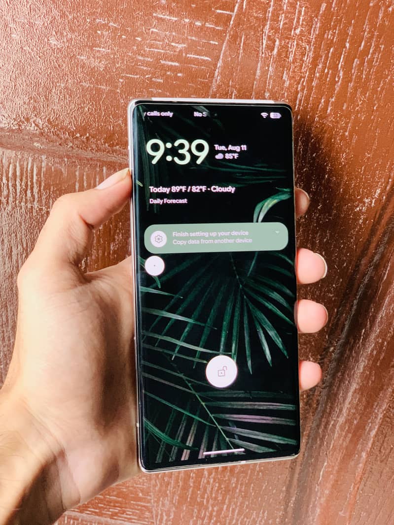 Google Pixel 6 Pro 1