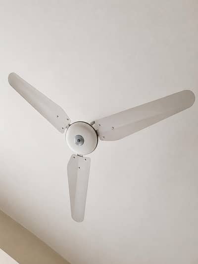ceiling fans
