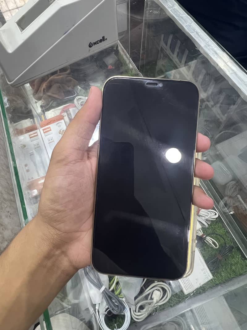 Apple iPhone 12 Pro Max 1