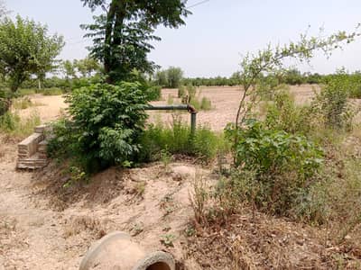 Agriculture Land Sale Urgent Chak 74 Nb