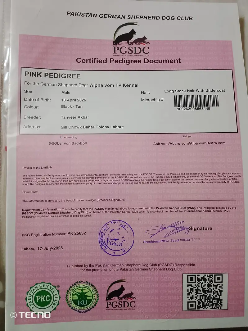 PKC. . . pidegree — photo 2