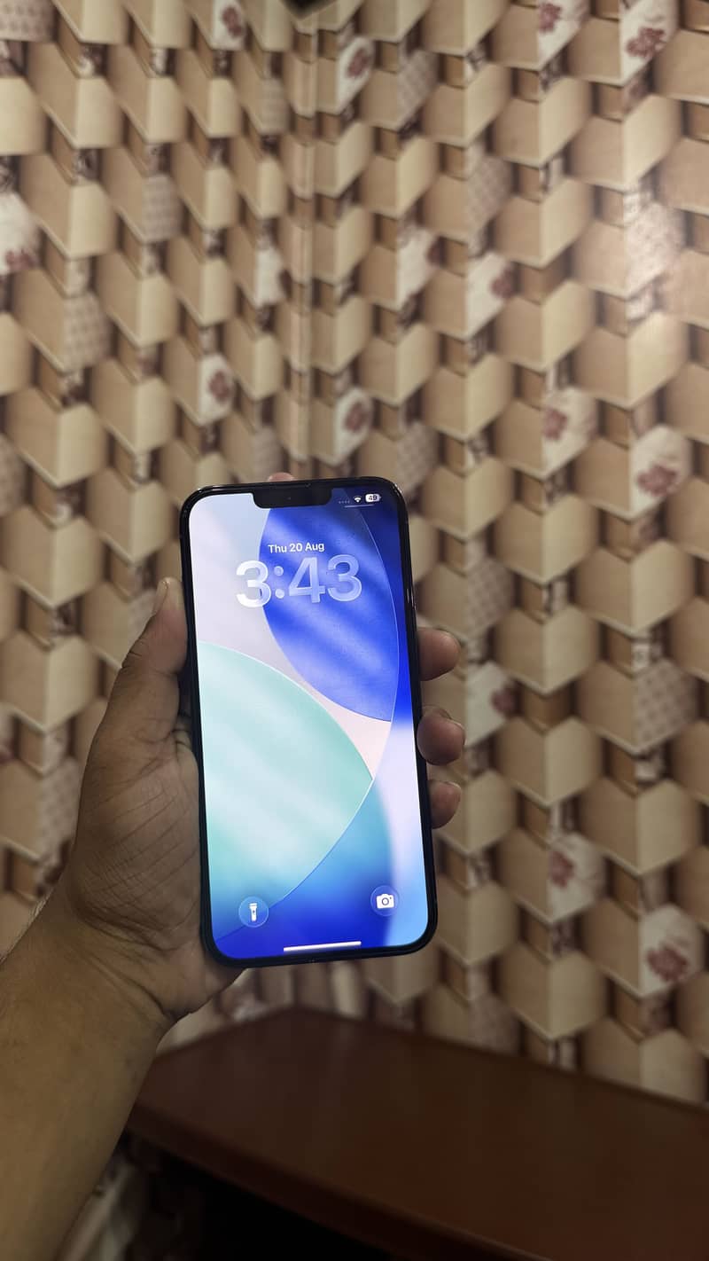 Apple iPhone 13 Pro Max 6