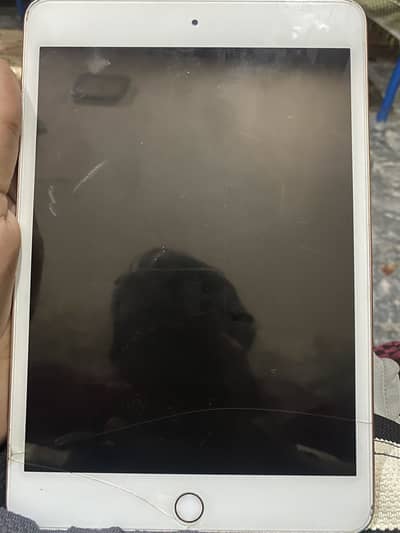 Ipad mini 5