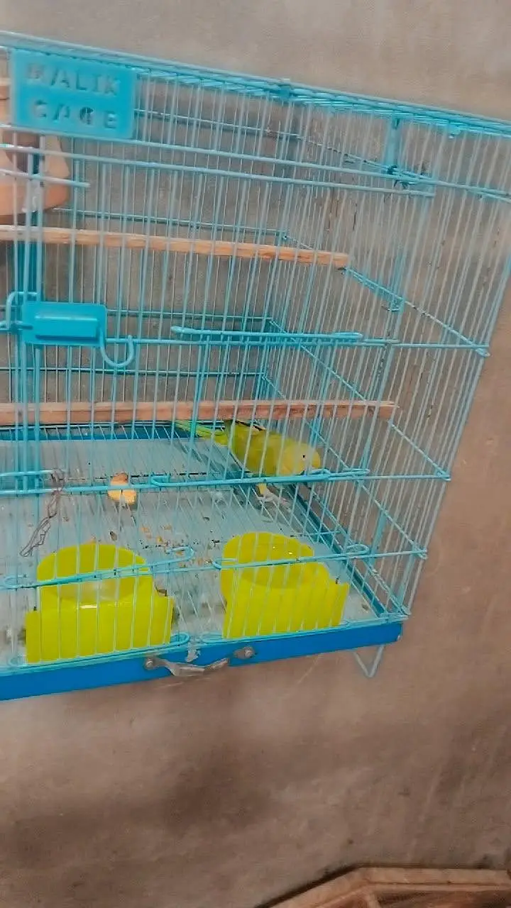 perrot sell — photo 2