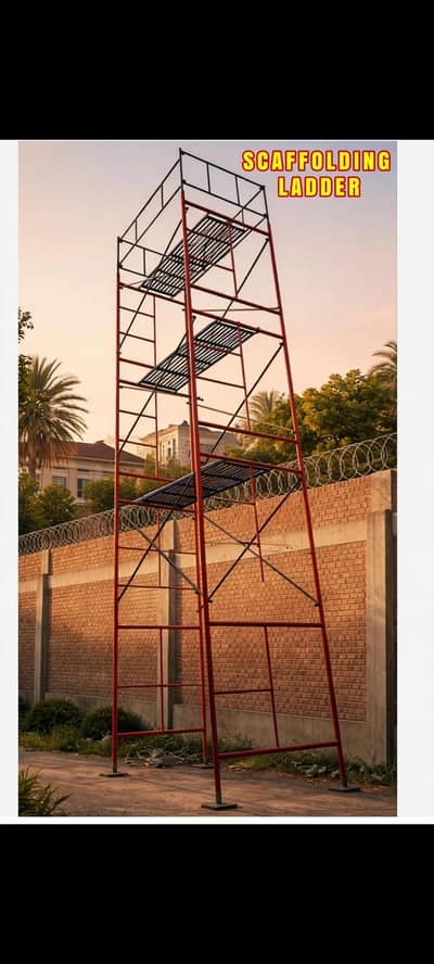 scaffolding ladder