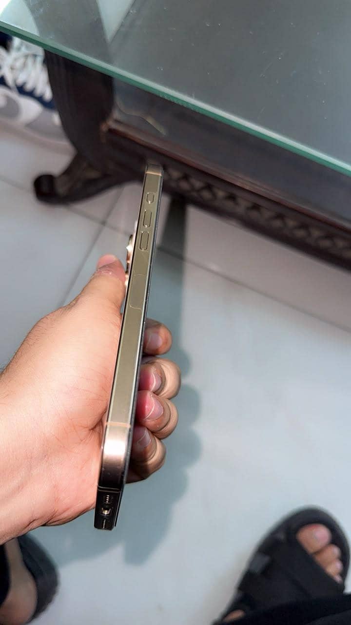 Apple iPhone 16 Pro Max 3