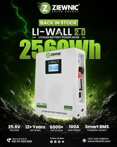 Ziewnic Li Wall 2.0 25.6V 100Ah 2560Wh Lithium Ion Battery