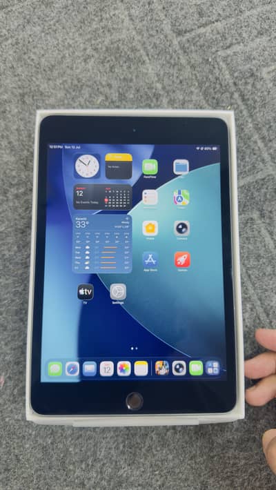 Ipadmini5