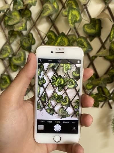Apple iPhone 7
