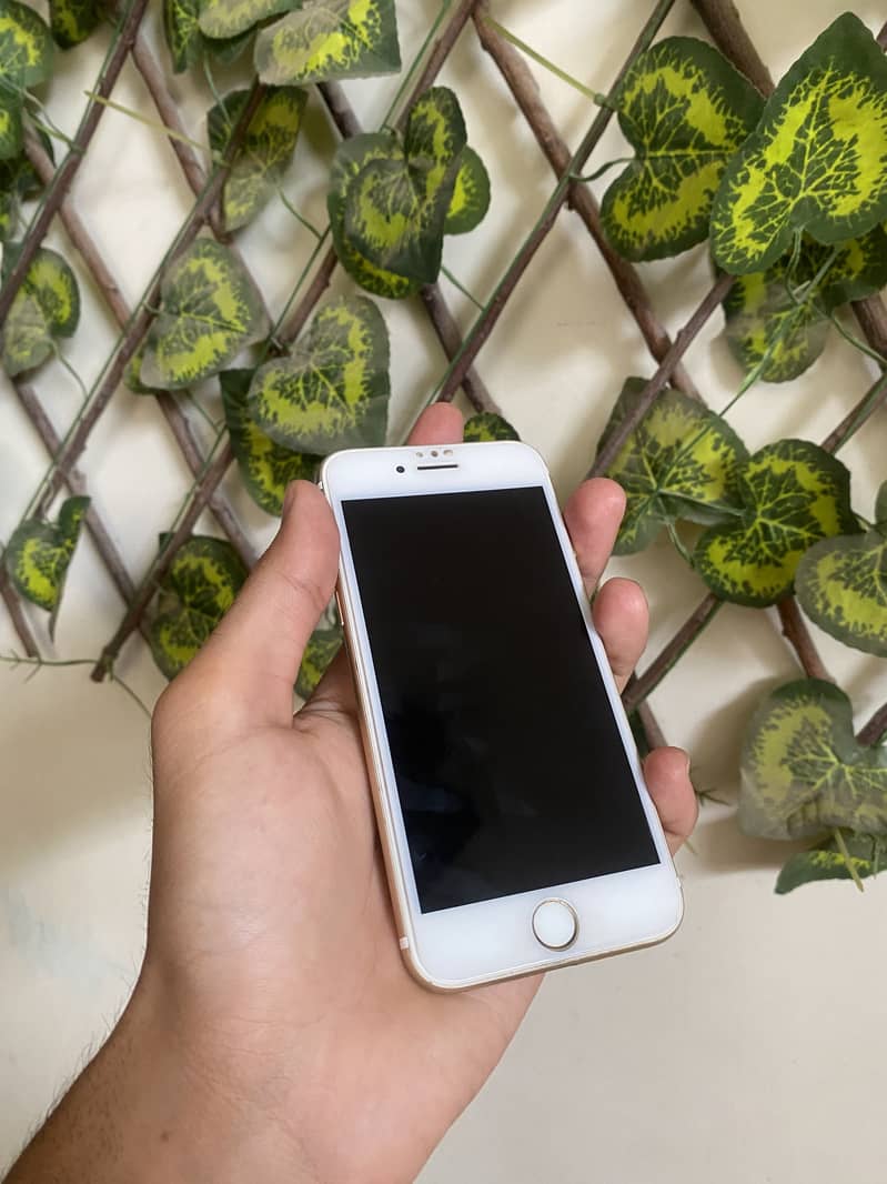 Apple iPhone 7 1
