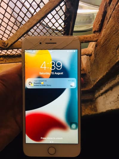 Apple iPhone 7 Plus pta approved rom128 condition10by9 cal03102232405