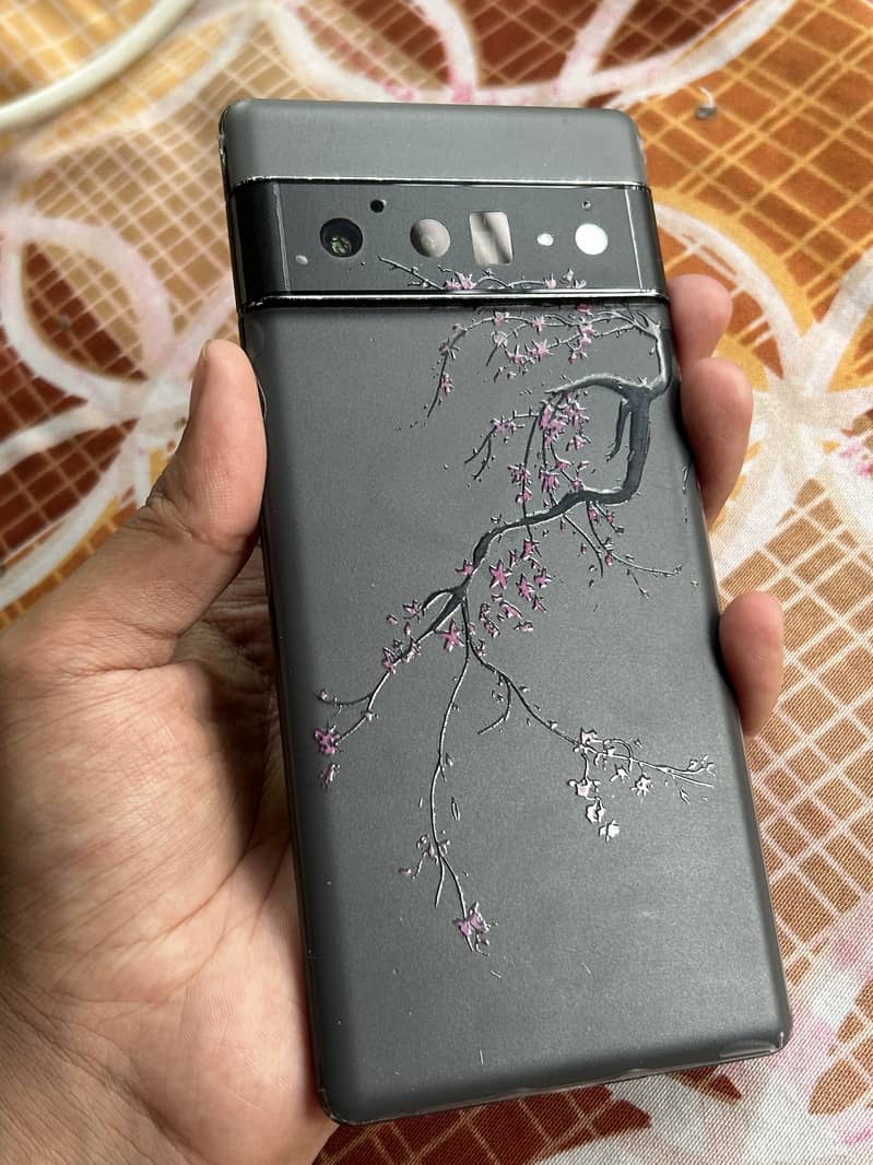Google Pixel 6 Pro 0