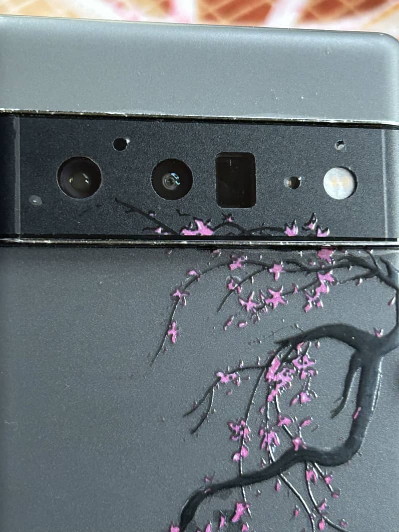 Google Pixel 6 Pro 1