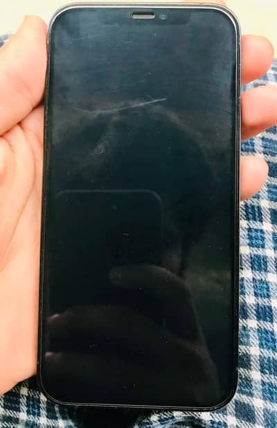 Apple iPhone 12 Pro