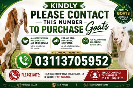 goat for sale